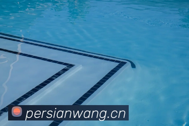 爱游戏体育 官网发展历程